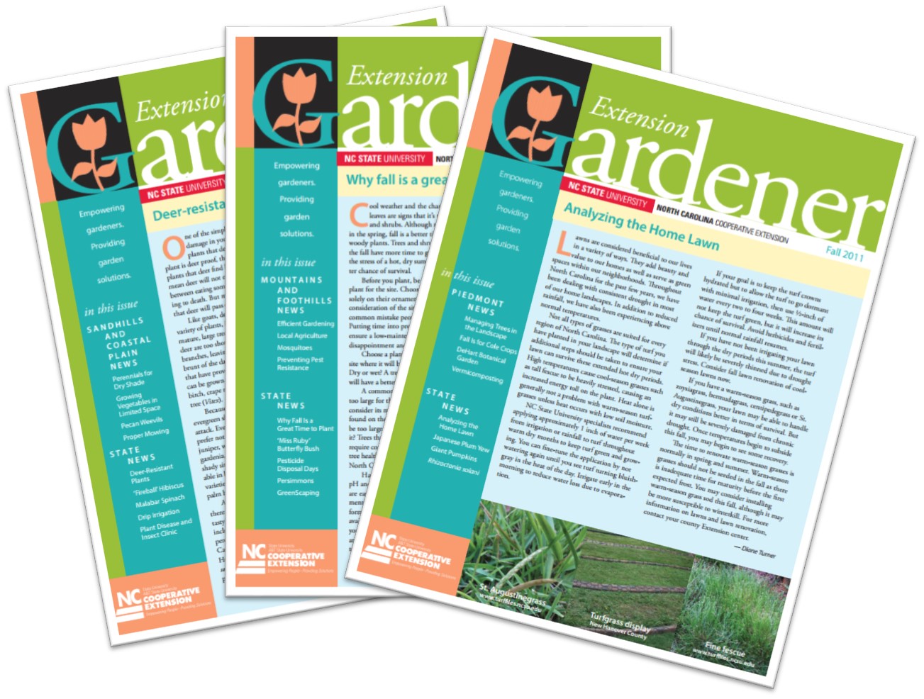 Multiple covers of Extension Gardener