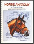 Horse Anatomy book cover