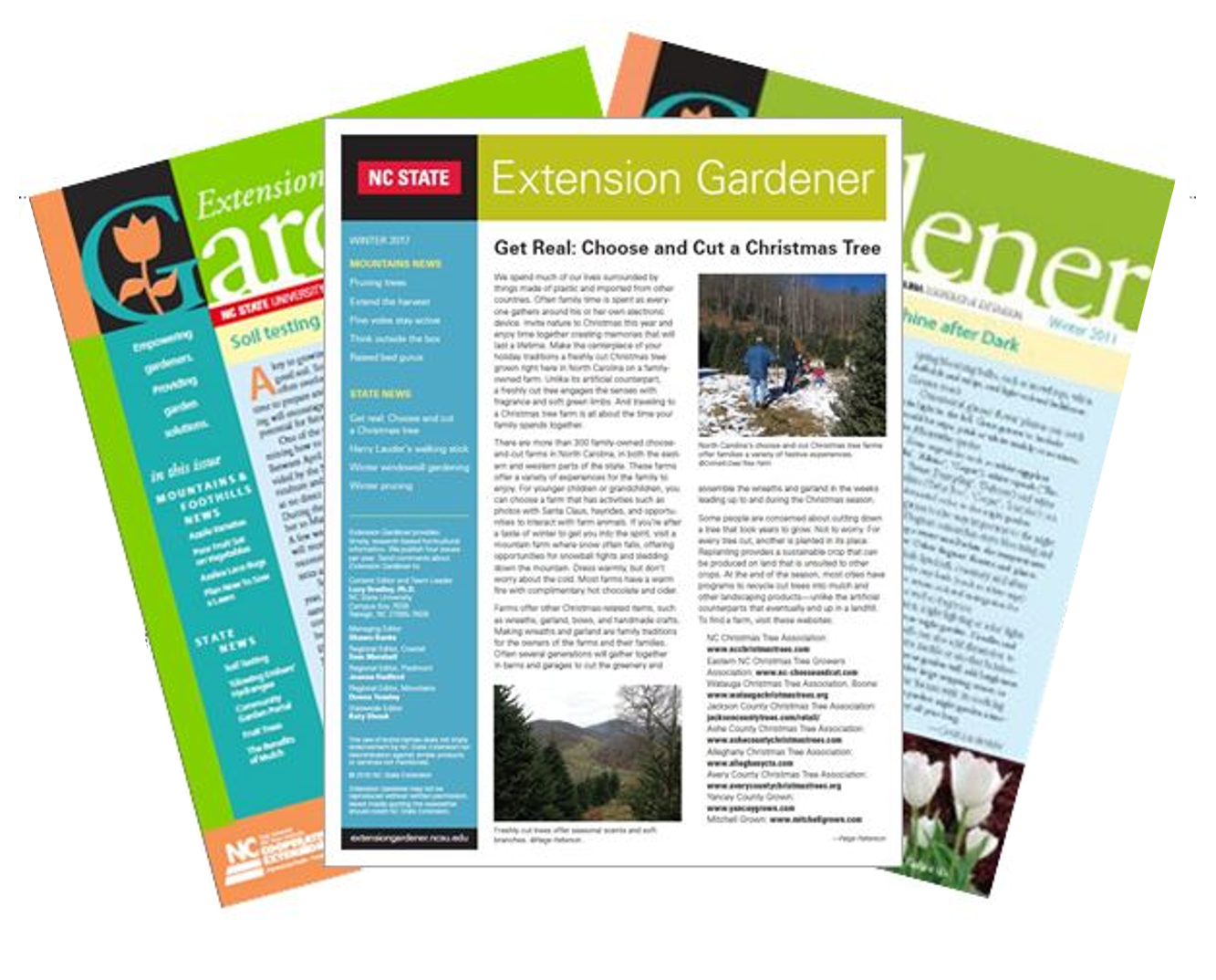 3 newsletter cover pages