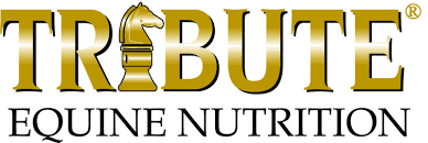 Tribute logo image