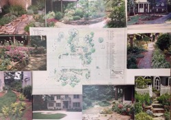 pictures of various plants and landscaping drawing of where to place them