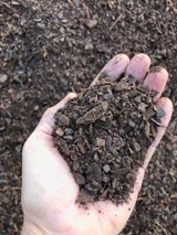 pine bark fines in left hand