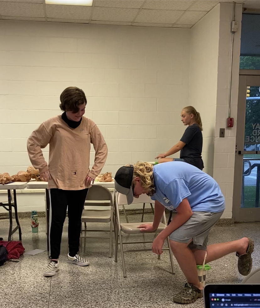 Coreopsis verticillata