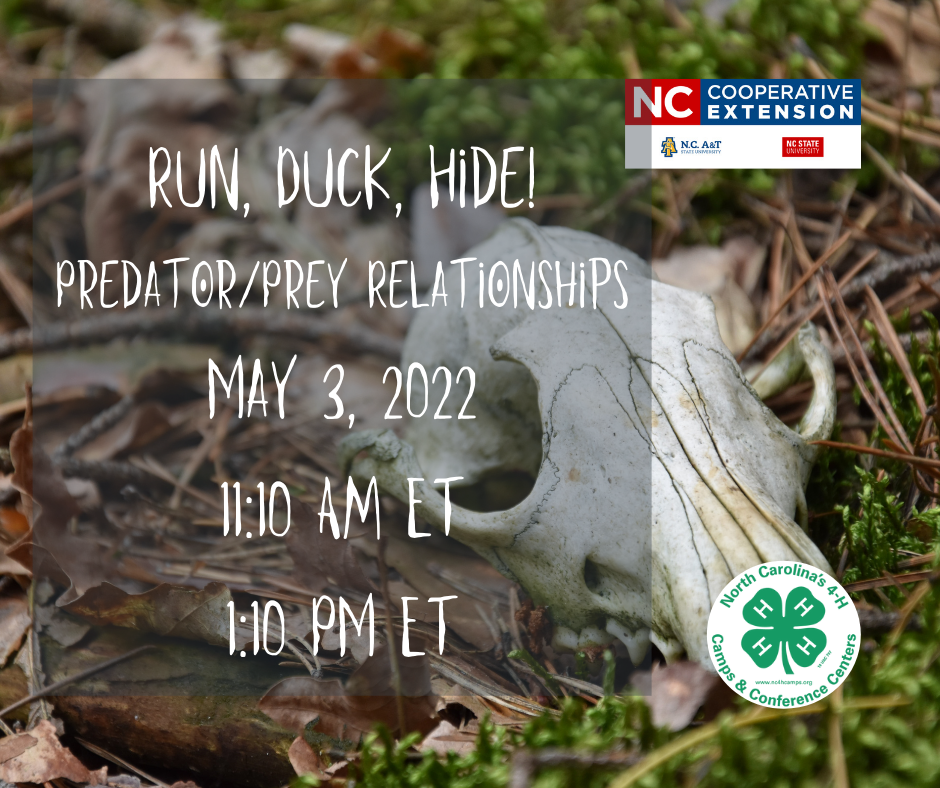 4-H Run, Duck, Hide event poster
