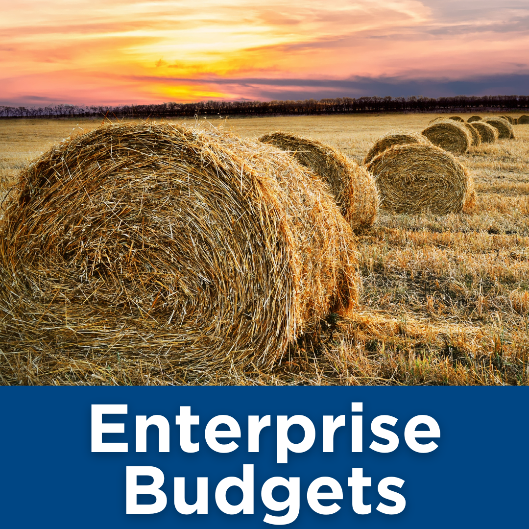 Enterprise Budgets Tile