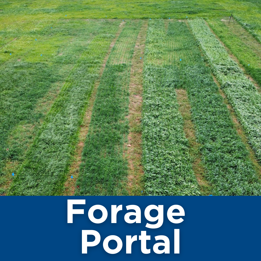 Forage Portal Tile