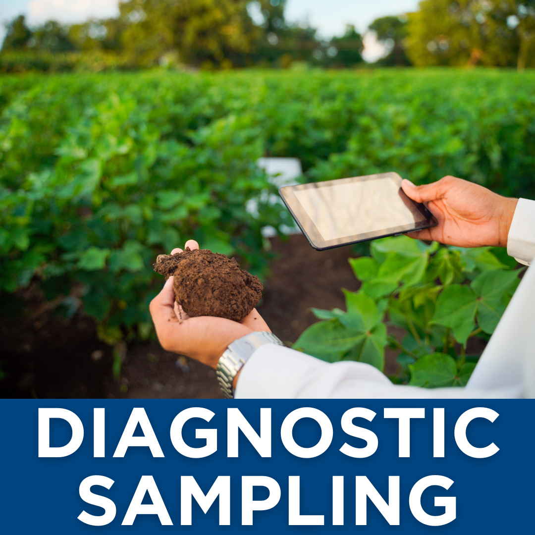 Diagnostic Sampling