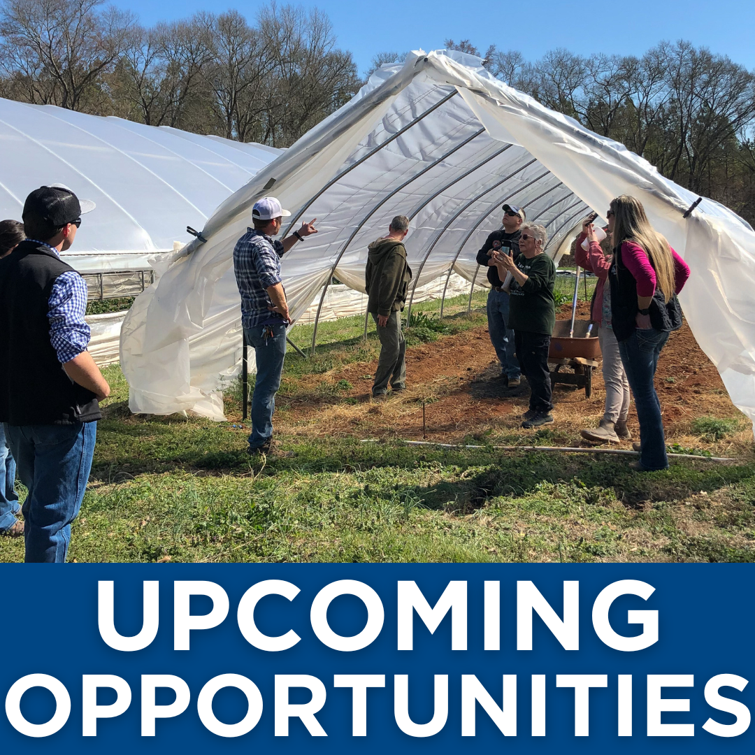 Upcoming Opportunities