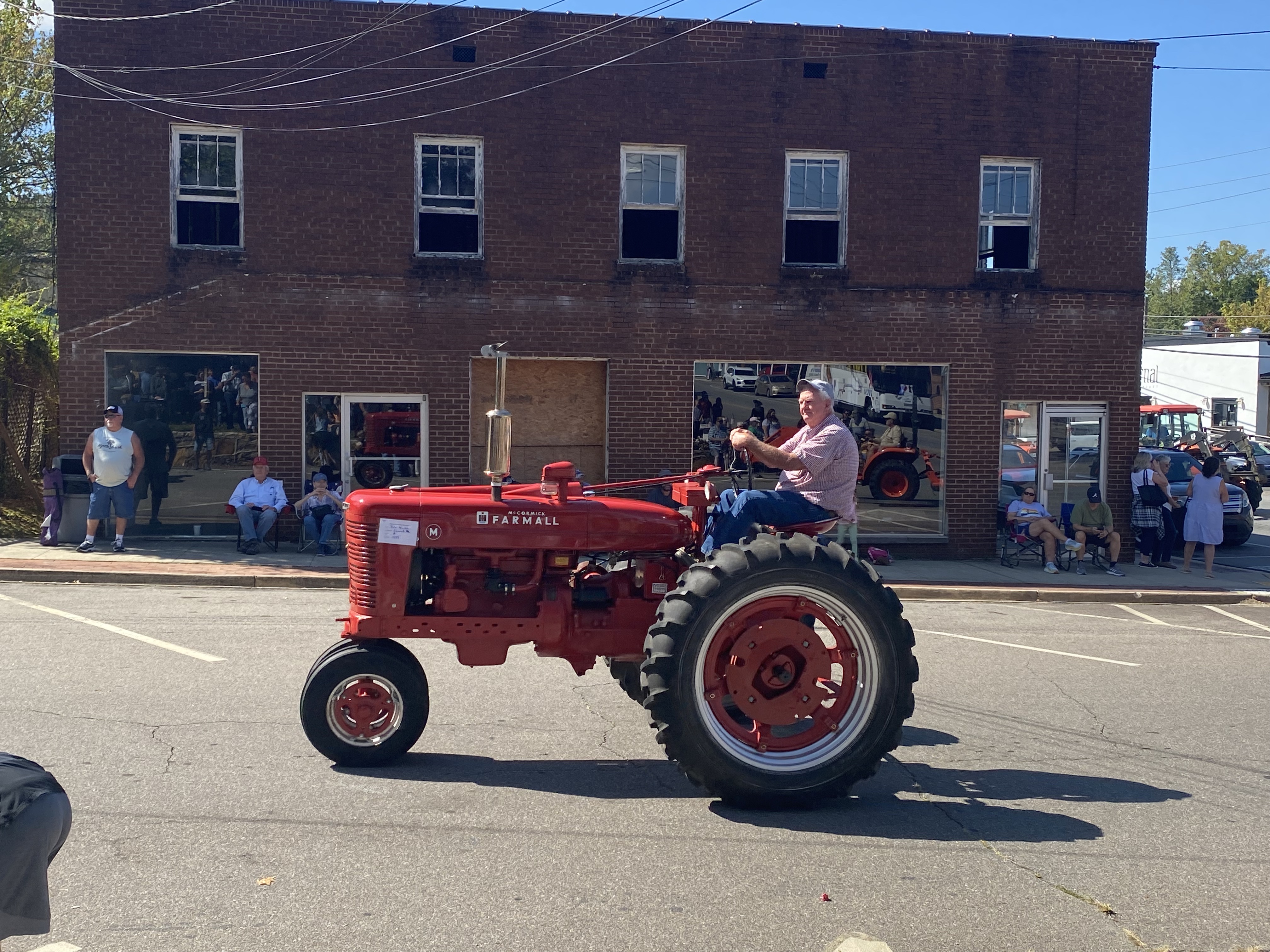 Agastache x 'Blue Fortune'