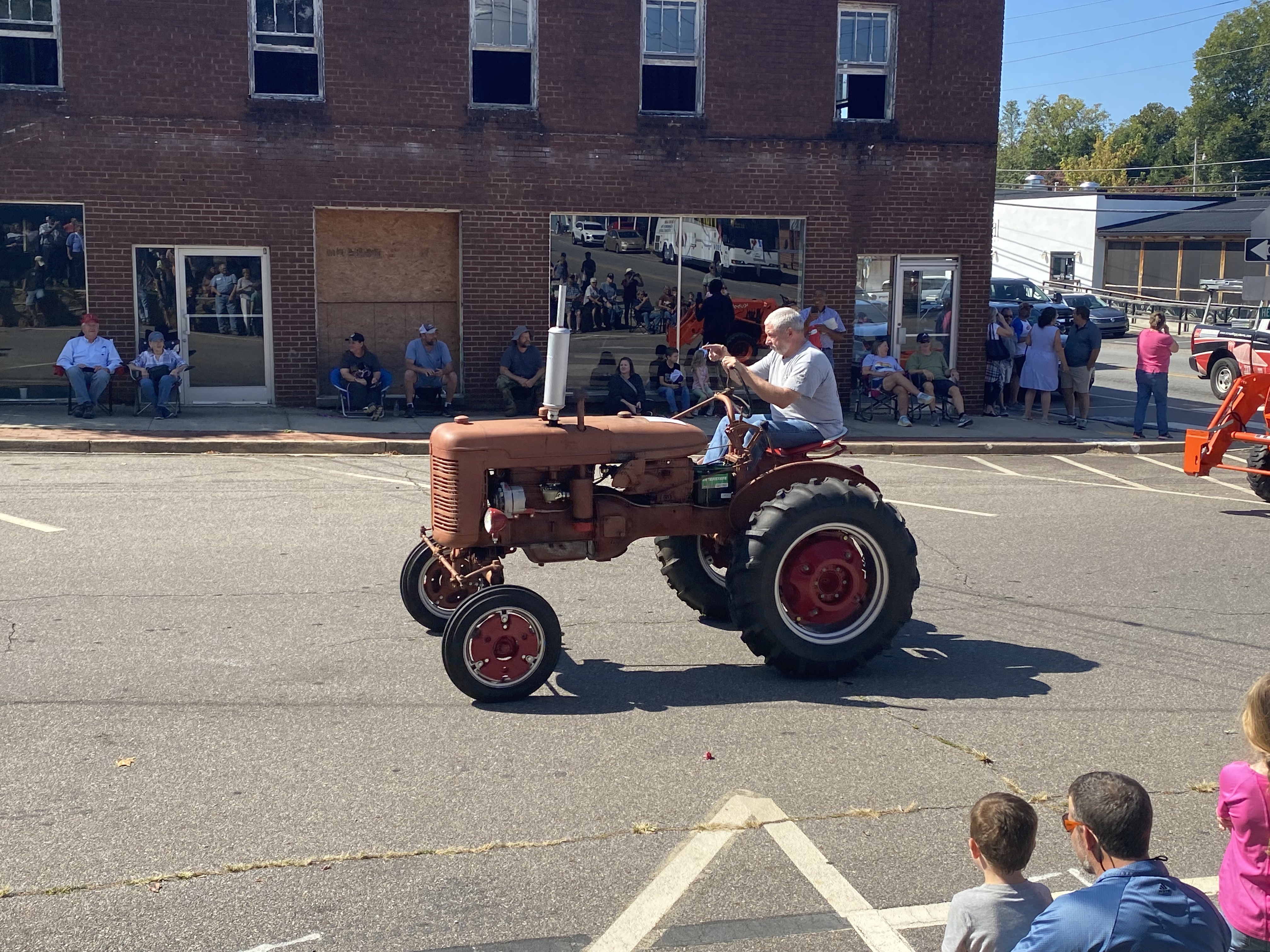 Liatris ligulistylis