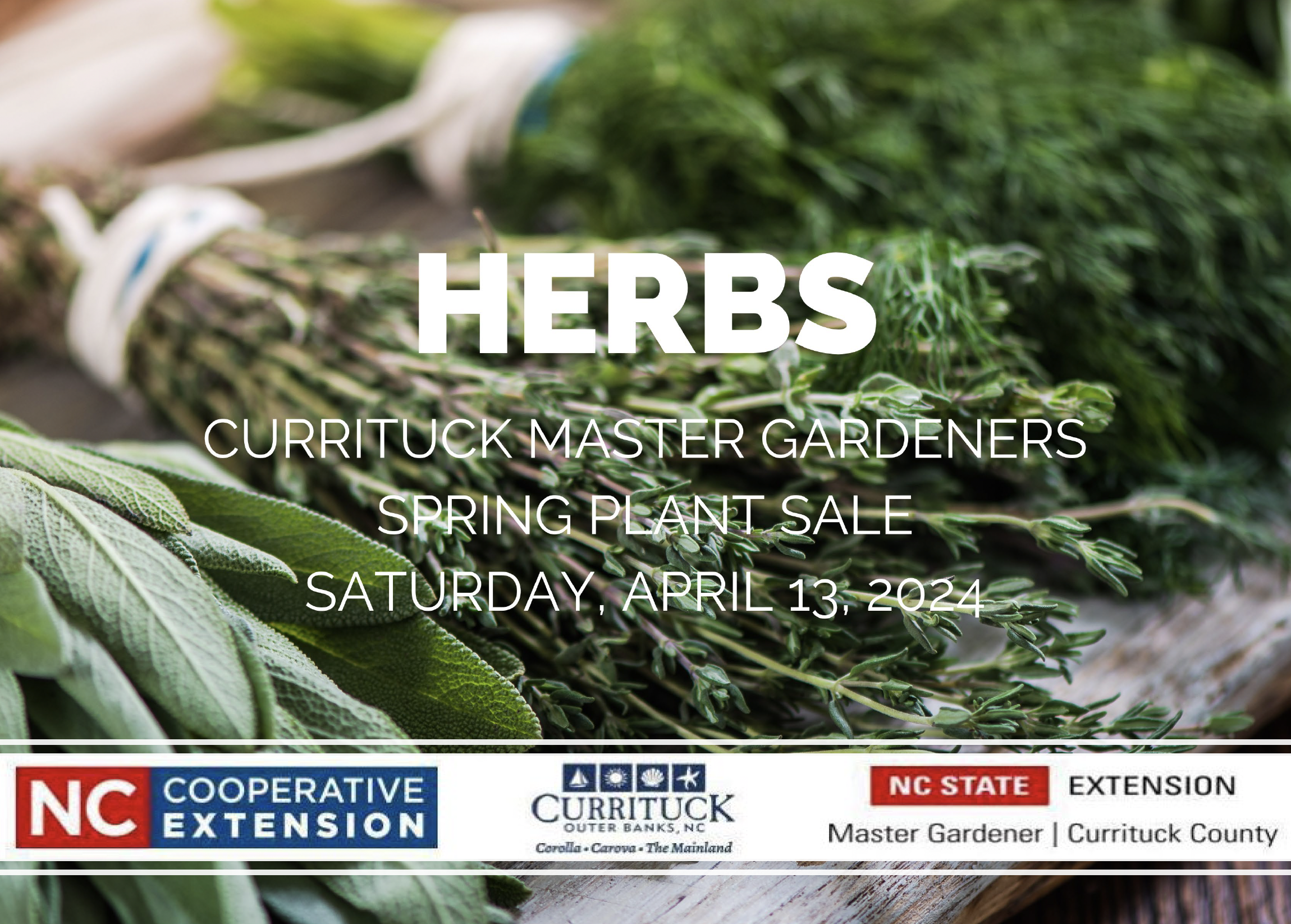 herbs thumbnail