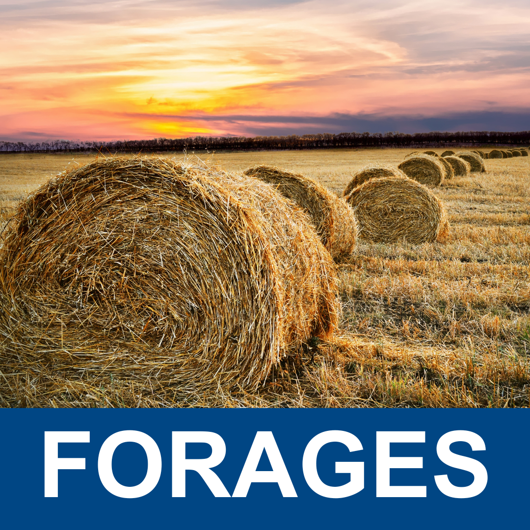 Forages
