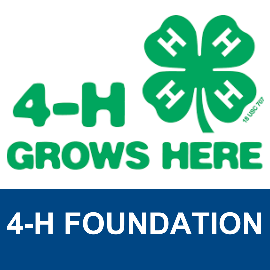 4-H Foundation