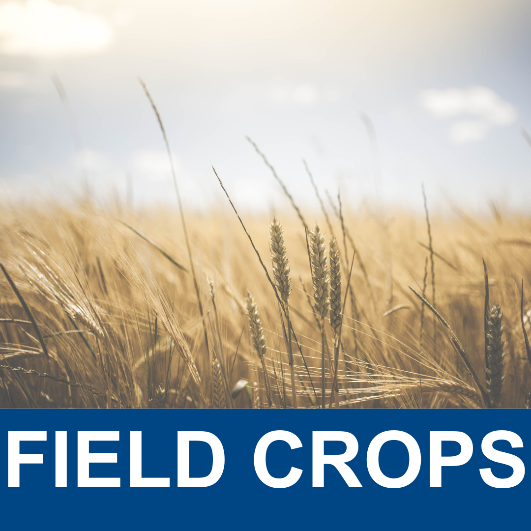 Field Crops