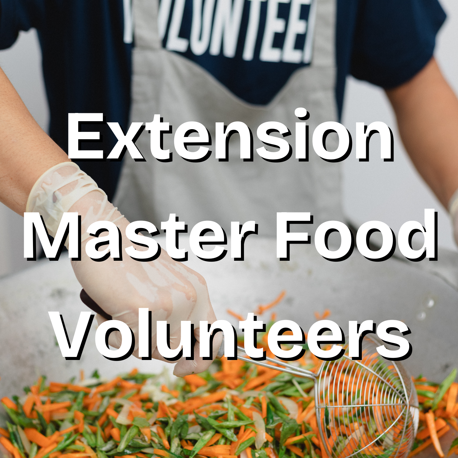 Extension master food volunteers